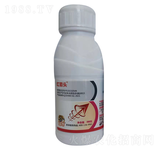 4.9%�׾Sʭ����-�t���^-�̎��r(n��ng)�I(y��)