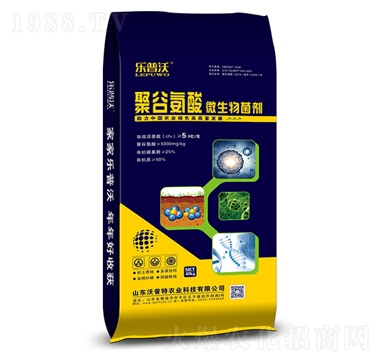 5�|�۹Ȱ��ᡤ΢�������-������