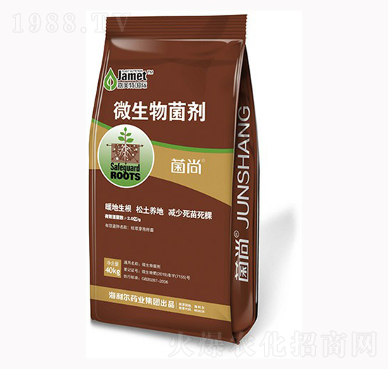 ����΢�������-������