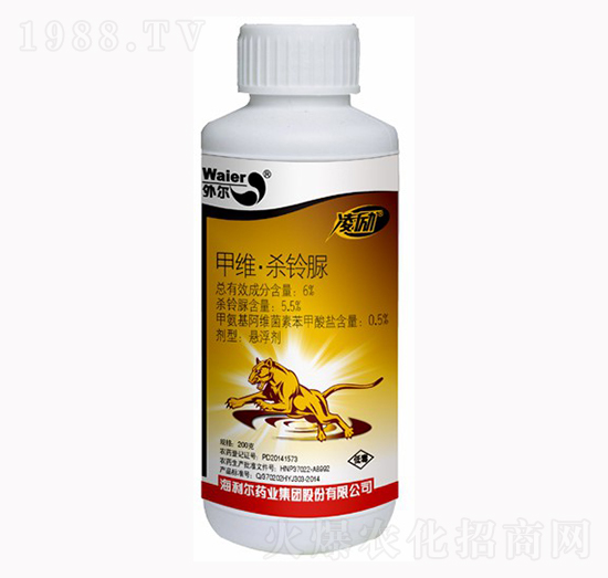 6%�׾S�����-���-������