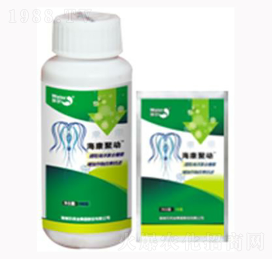 �����ۄ�-������