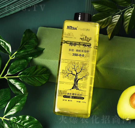 ���ϙ��w����H-̼��-��׿