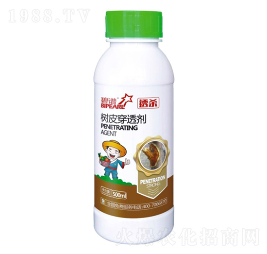 ͸����(sh��)Ƥ��͸��-������r(n��ng)