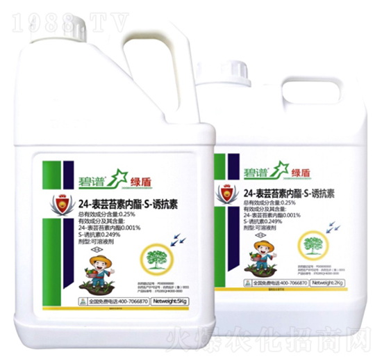 24-���|̦�؃�(n��i)����S-�T����-�G��-������r(n��ng)