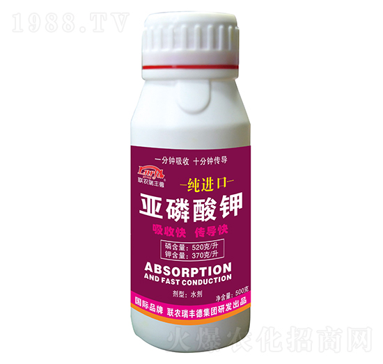 ���M�ځ������-���S��