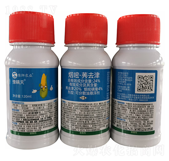 24%���ס�ݬȥ��-ԥ�m��-�S�՘�