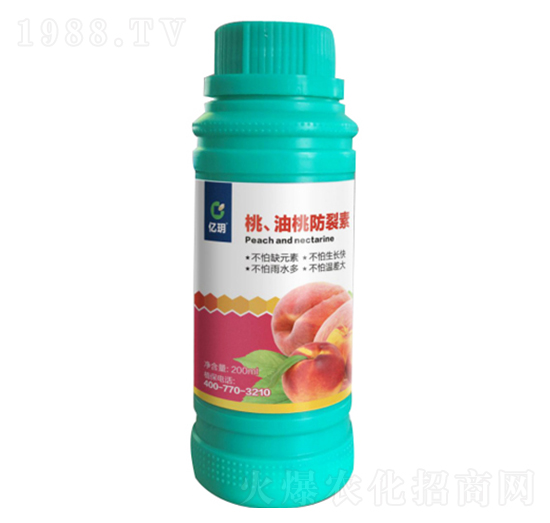 �������ҷ�����-�R������