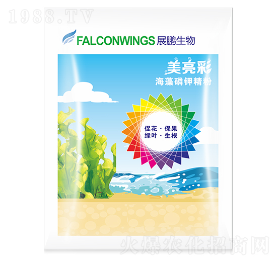 ������-չ�i����