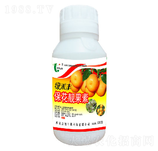 �����n����-�G���S-��������