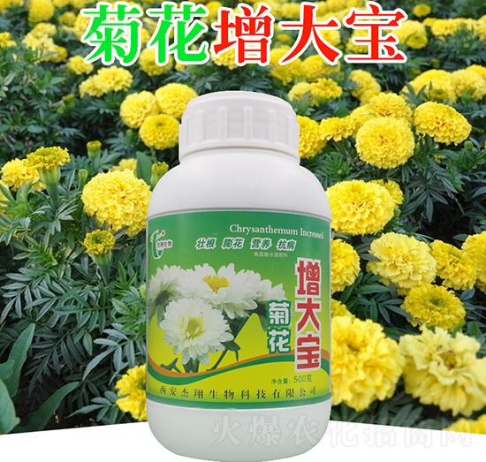 �ջ�����-��������