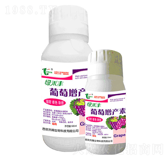 �������a(ch��n)��-��������