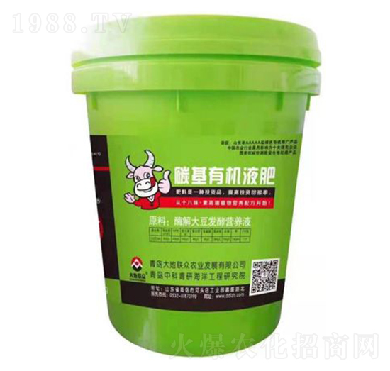 ����-��������