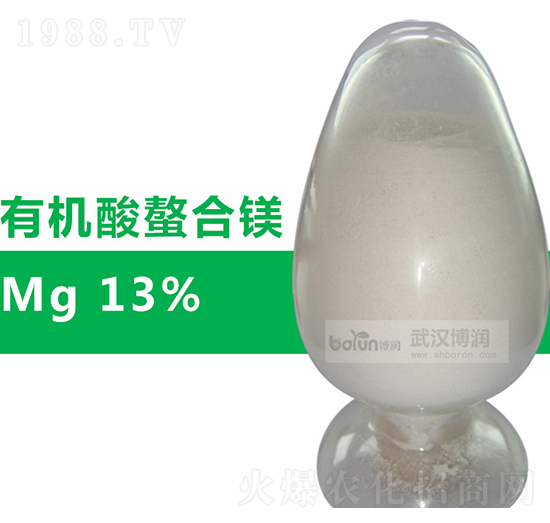 13%�ЙC�������V-�����Ƽ�