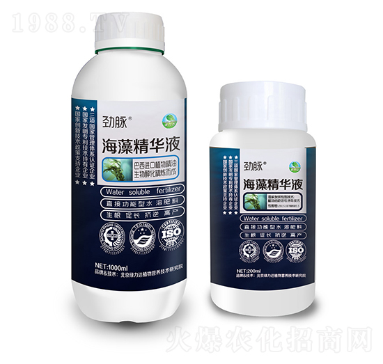 ���徫�AҺ-���}