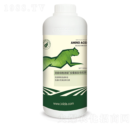 �G�������z�ҹ����ЙC�-���}