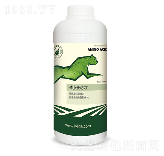 ��(x��)������(qi��ng)�̼���-�L��(d��ng)��-���}