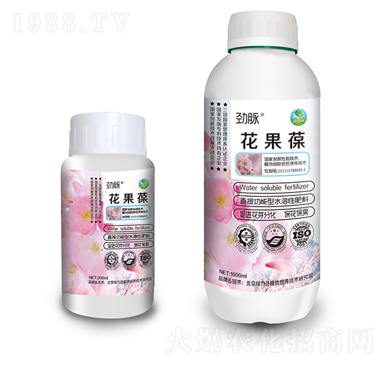 ������-���}