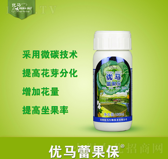 ��(y��u)�R�ٹ���-��(y��u)�R����