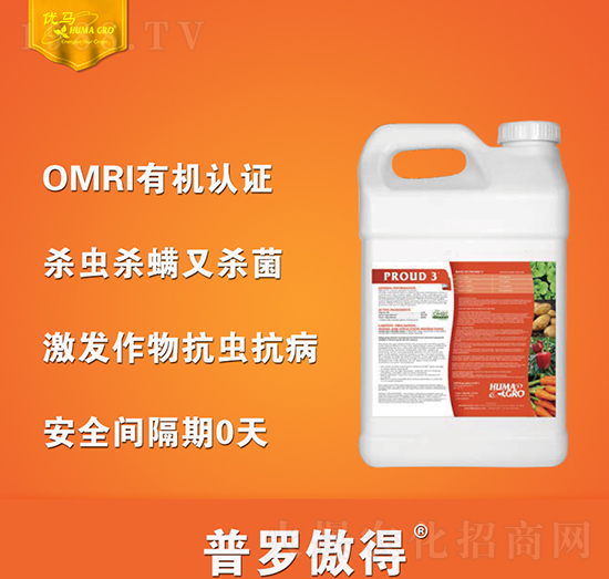 ���_����-��(y��u)�R����