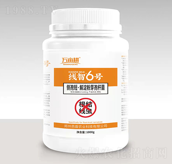 ���Y(ji��)���x����-����6̖-��ķ������