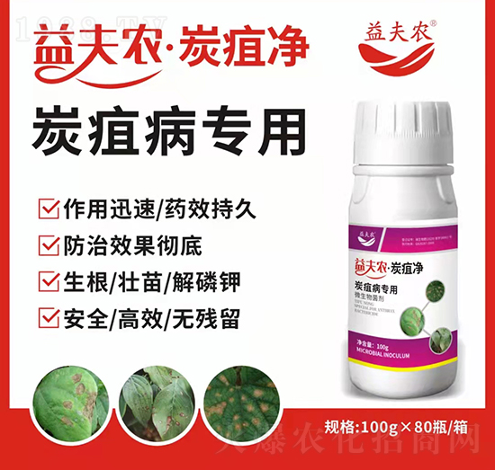 ̿�Ҳ�����-����r(n��ng)��̿�҃�-����r(n��ng)