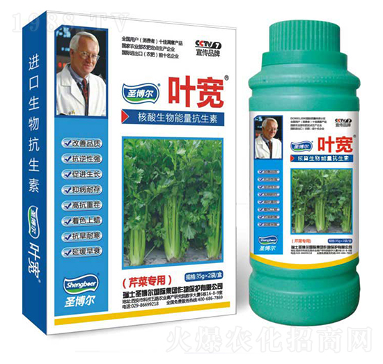 �۲ˌ����~���-��������ø�T����-�~��-ʥ��������