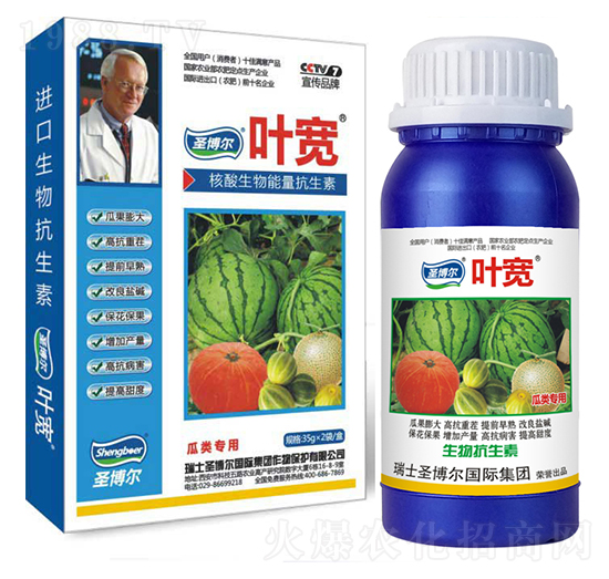 ������~���-��������ø�T����-�~��-ʥ��������