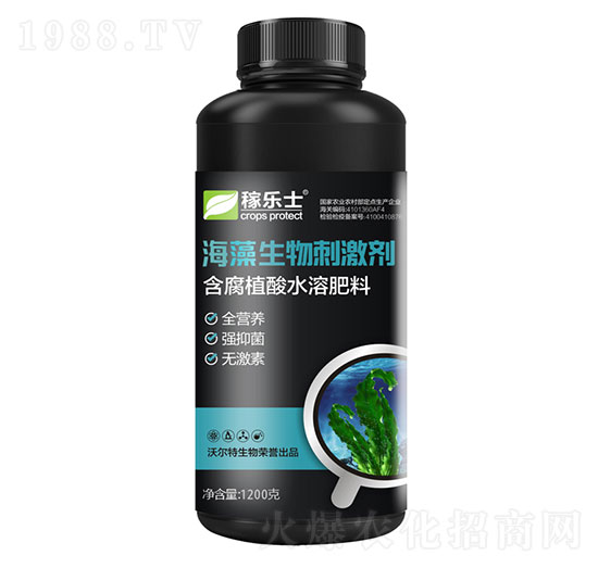 ��������̼���-�ژ�ʿ-�֠���