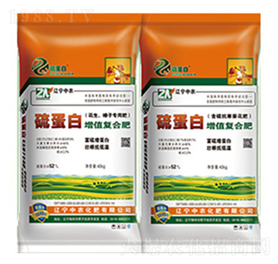 �򵰰����|(zh��)�ͺϷ�-���r(n��ng)����