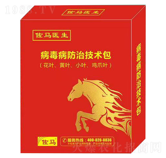 ���������μ��g��-���R�t(y��)��-嫪{