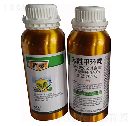 ���Ѽ׭h(hu��n)��-���`-����������