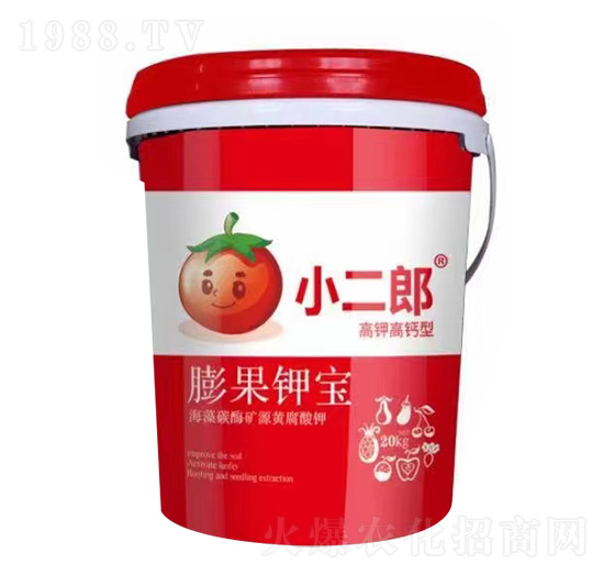 ���⛌�-С����-���r�A��