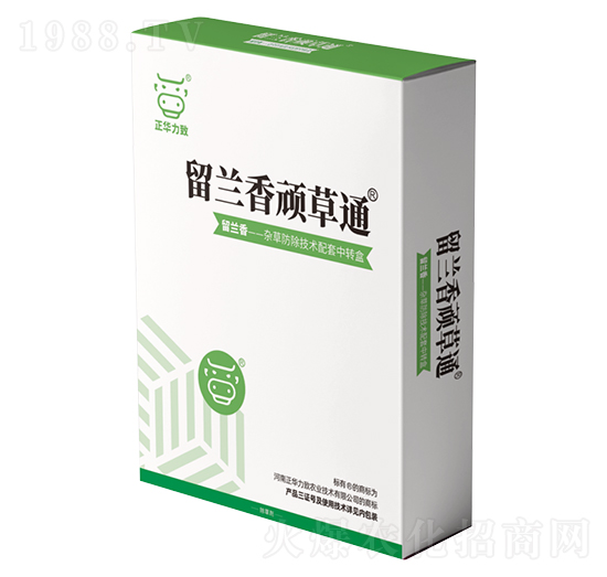 ���m���B��ͨ-���A����