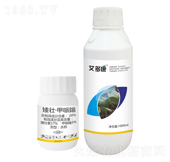 20%���ѡ������f-���࿵-ʩ���r�I(y��)