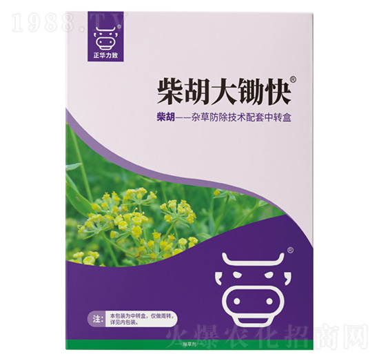 ������z��-���A����