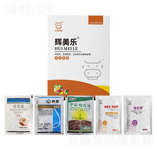 ���������o�����������ݲ�����ή���ײ�-�x����-���A����