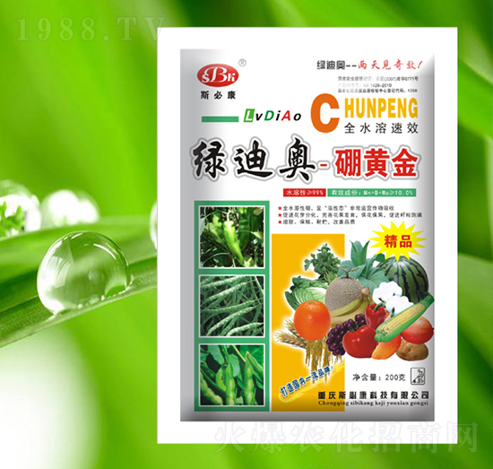 ���S��-�G�ϊW-˹�ؿ�