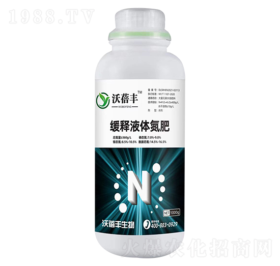 ���Һ�w����-�����S