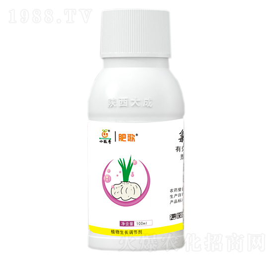 60%�Ȼ�đ�A-�ʸ�-�������