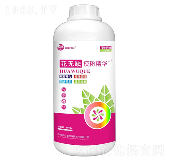 �ڷ۾��A-���۶��ǡ����oȱ-��ɽֲ��