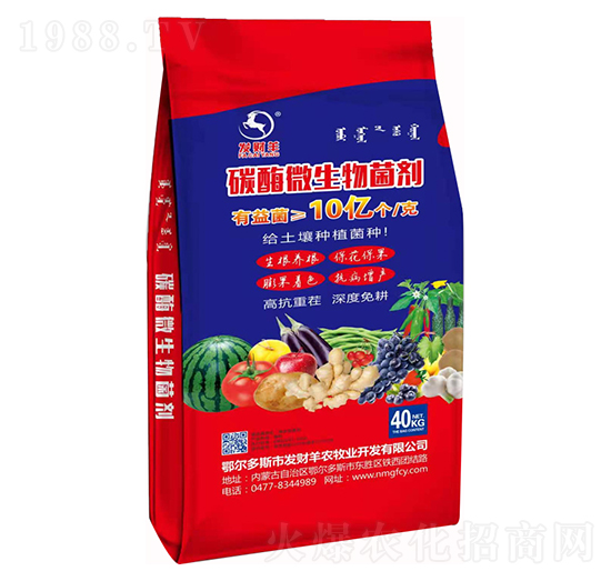 10�|��̼ø΢�������-�l(f��)ؔ(c��i)��