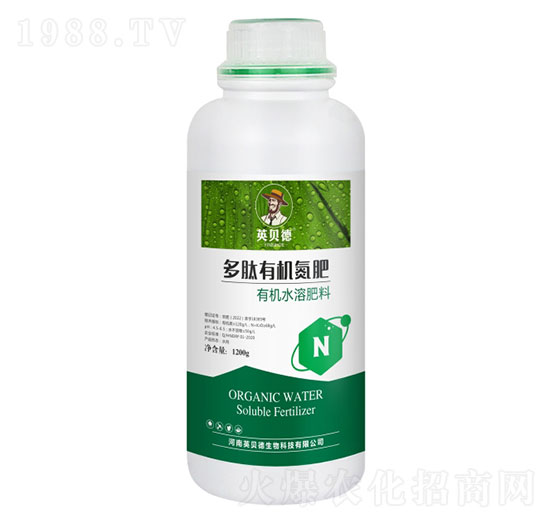 �����ЙC����-Ӣؐ��