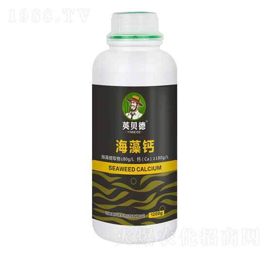 �����}-Ӣؐ��