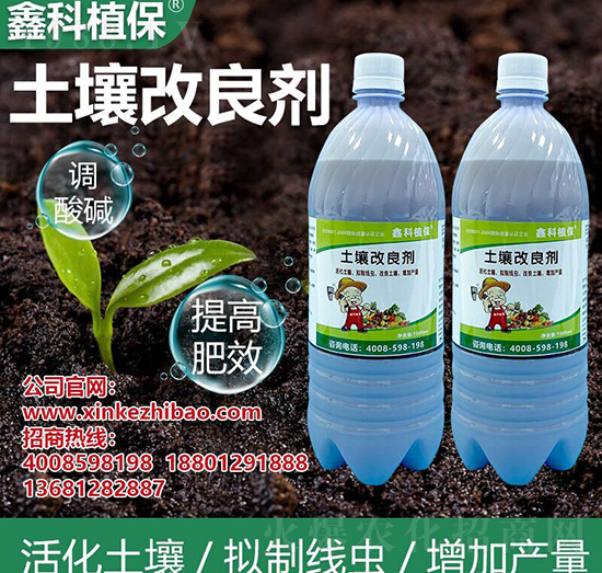 ����������-�ο�ֲ��