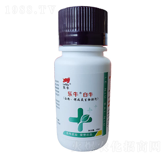 �׷ۡ��P�����������-��(l��)������ţ-�\(ch��ng)��I(l��ng)��