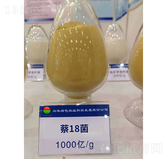 ��18��-�d�A�Gɫ