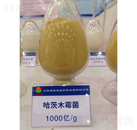 ����ľù��-�d�A�Gɫ