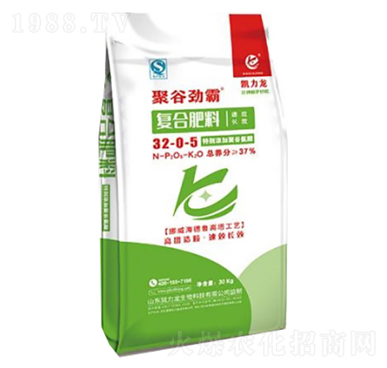 �ͺϷ���32-0-5-�۹ȄŰ�-�P����