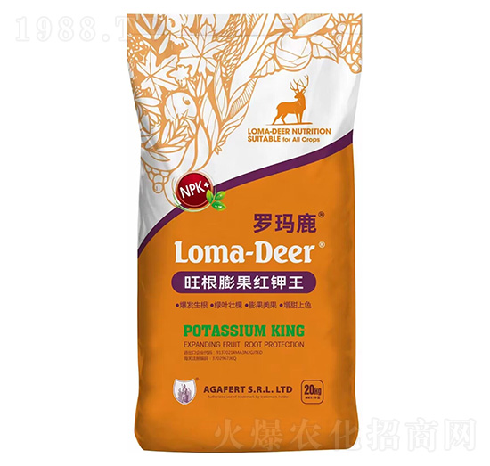 ��������t���-�_��¹-���L