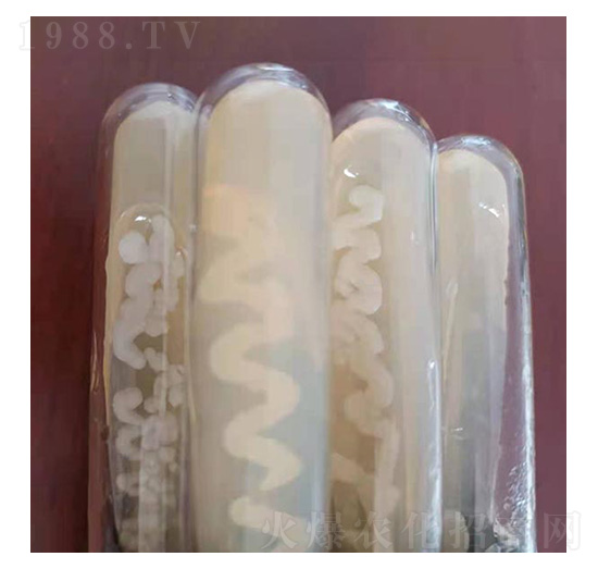 �K�ƽ�U����(bi��o)��(zh��n)����-�Ű�����